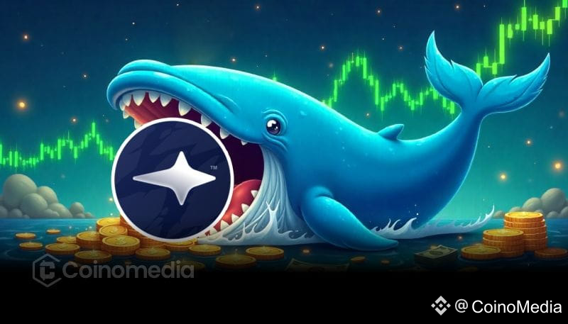 Whale Opens 3× Long on MON, Gains $654K in 12 Hrs