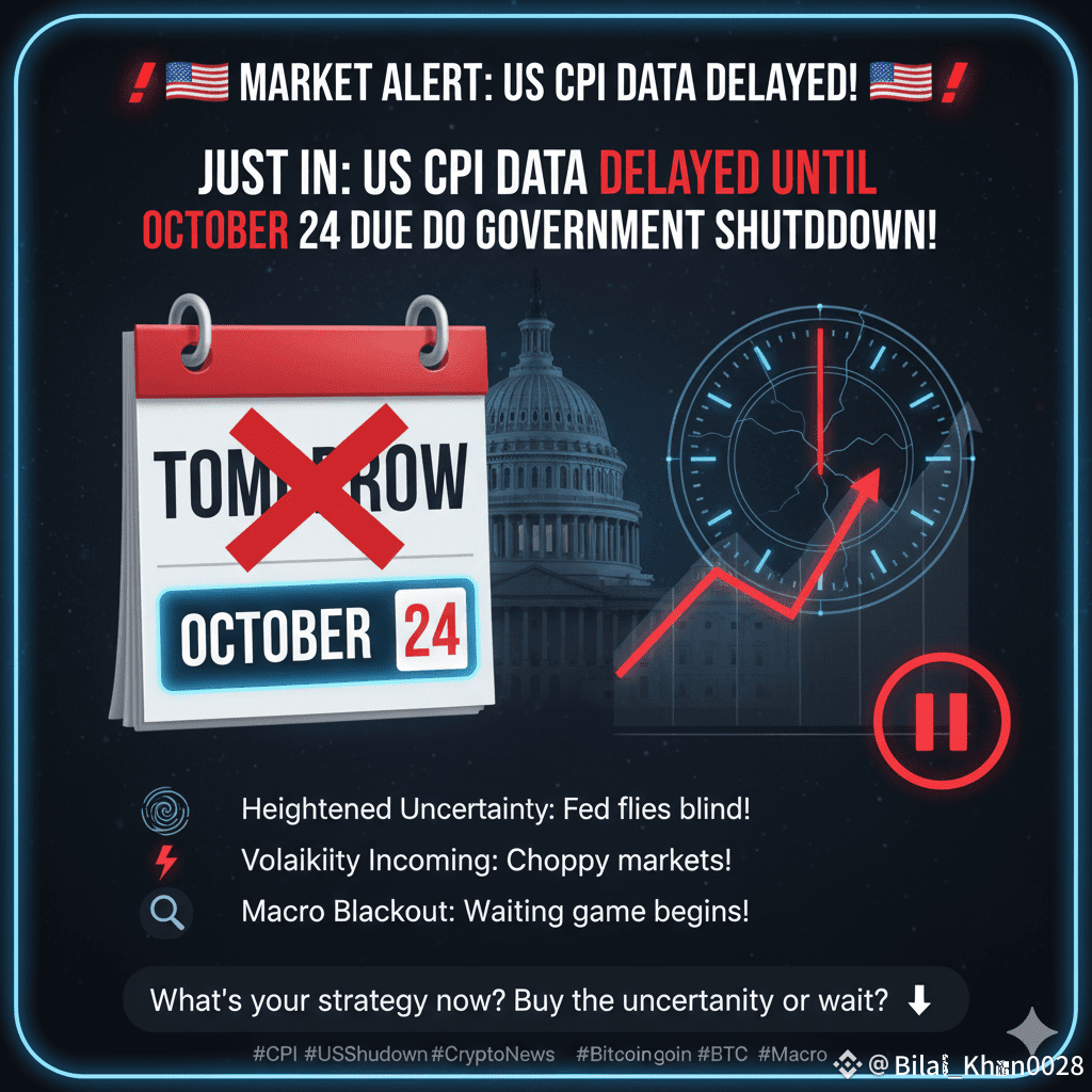 🚨🇺🇸 MARKET ALERT: US CPI DATA DELAYED! 🇺🇸🚨 JUST IN: | Bilal_Khan0028  on Binance Square