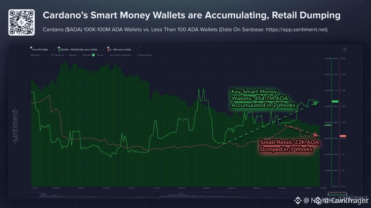 Latest #cardano News, Opinions and Feed Today | Binance Square