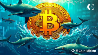 Bitcoin whale accumulation BTC chart data; retail investors selling as crypto trading volumes surge on US-China tariff news