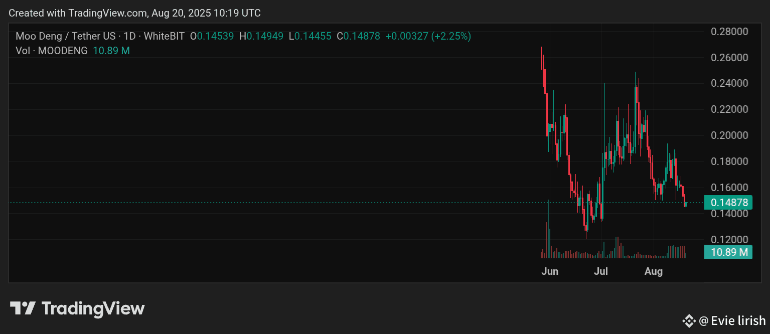 Latest #moodeng News, Opinions and Feed Today | Binance Square