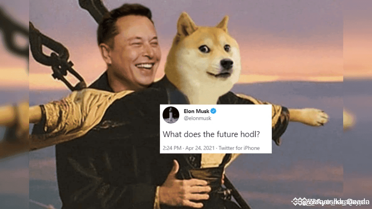 If You Had Invested $100 in DOGE When Elon Musk First | Waqar_khanzada on  Binance Square