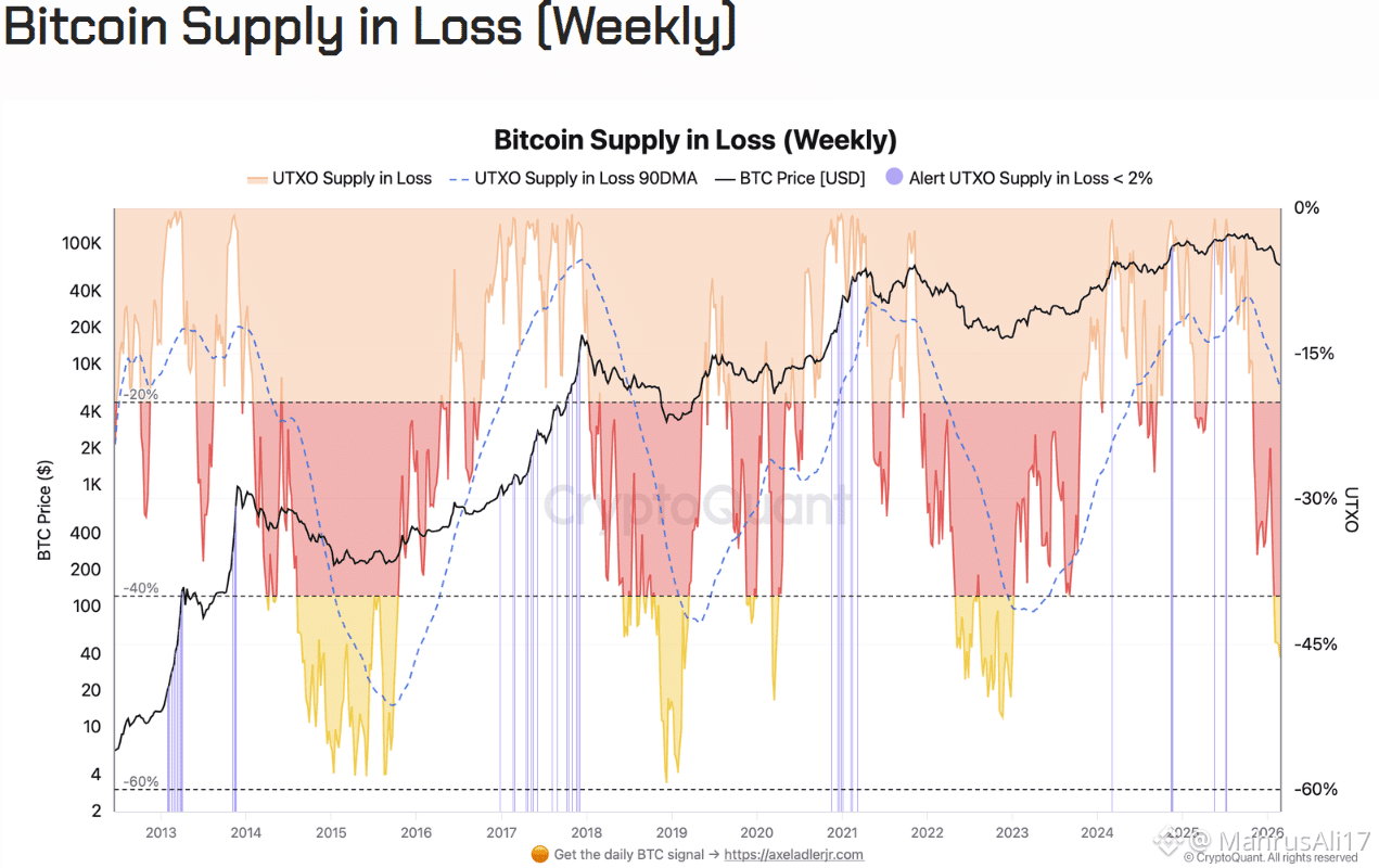Bitcoin Supply in Loss