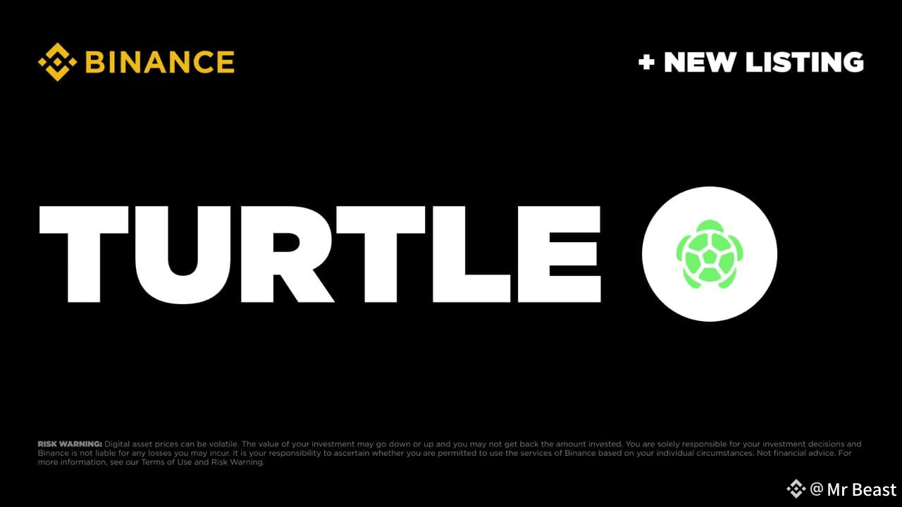 Latest #turtlecoin News, Opinions and Feed Today | Binance Square