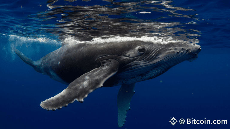 Fourth of July OG Whale Strikes Again: Another 10,000 BTC Moved as 30,000 Still Sit Idle