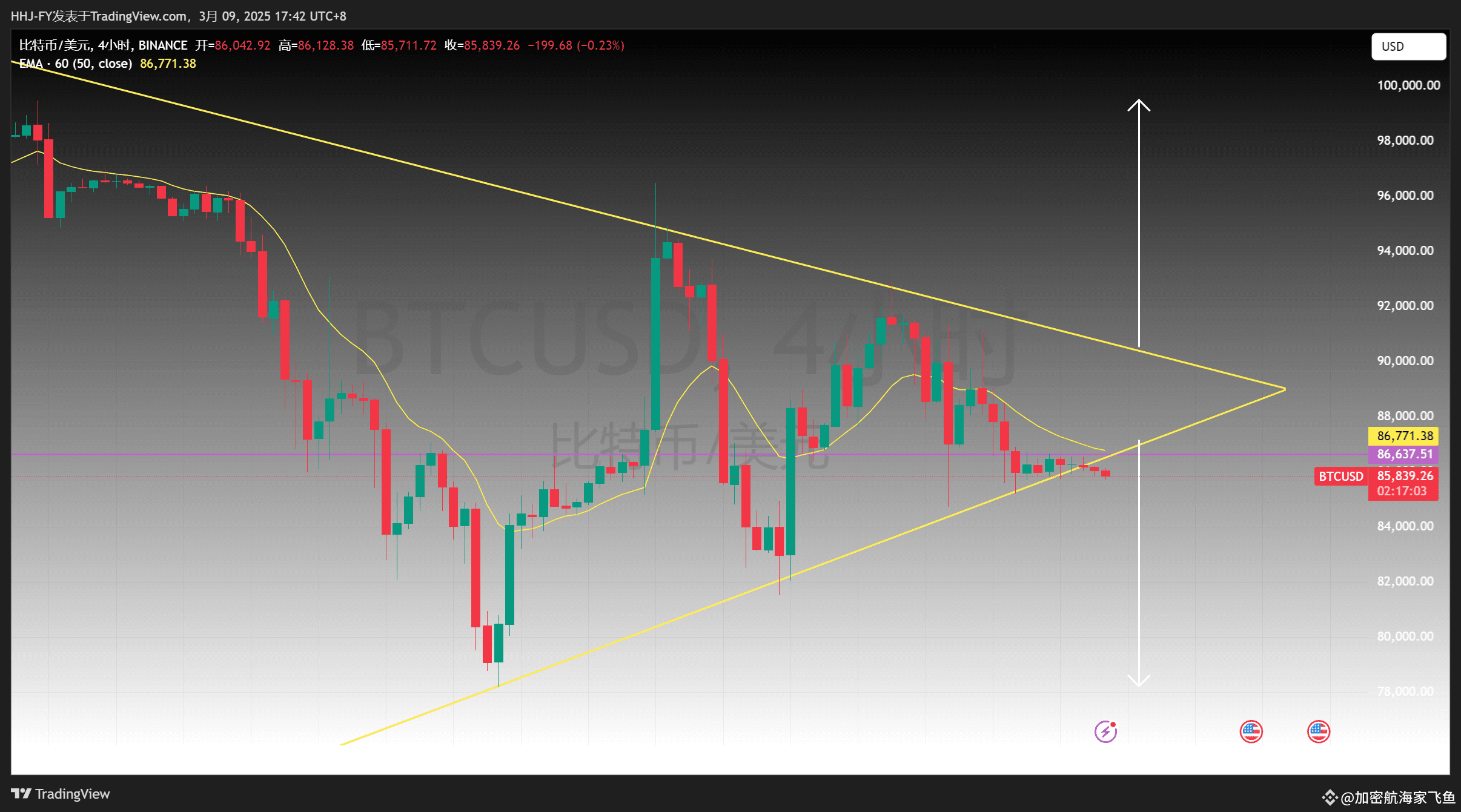 2025年3月9日比特币最新行情分析| 飞鱼2026祝福版on Binance Square