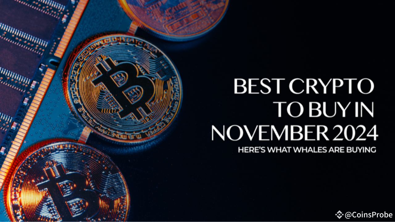 Best 5 Cryptos to Buy in 2024: Expert Investment Guide | CoinsProbe on  Binance Square