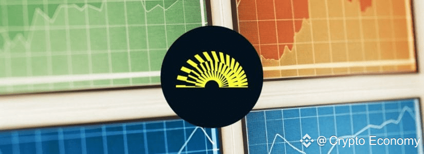 What is the DBR Token?