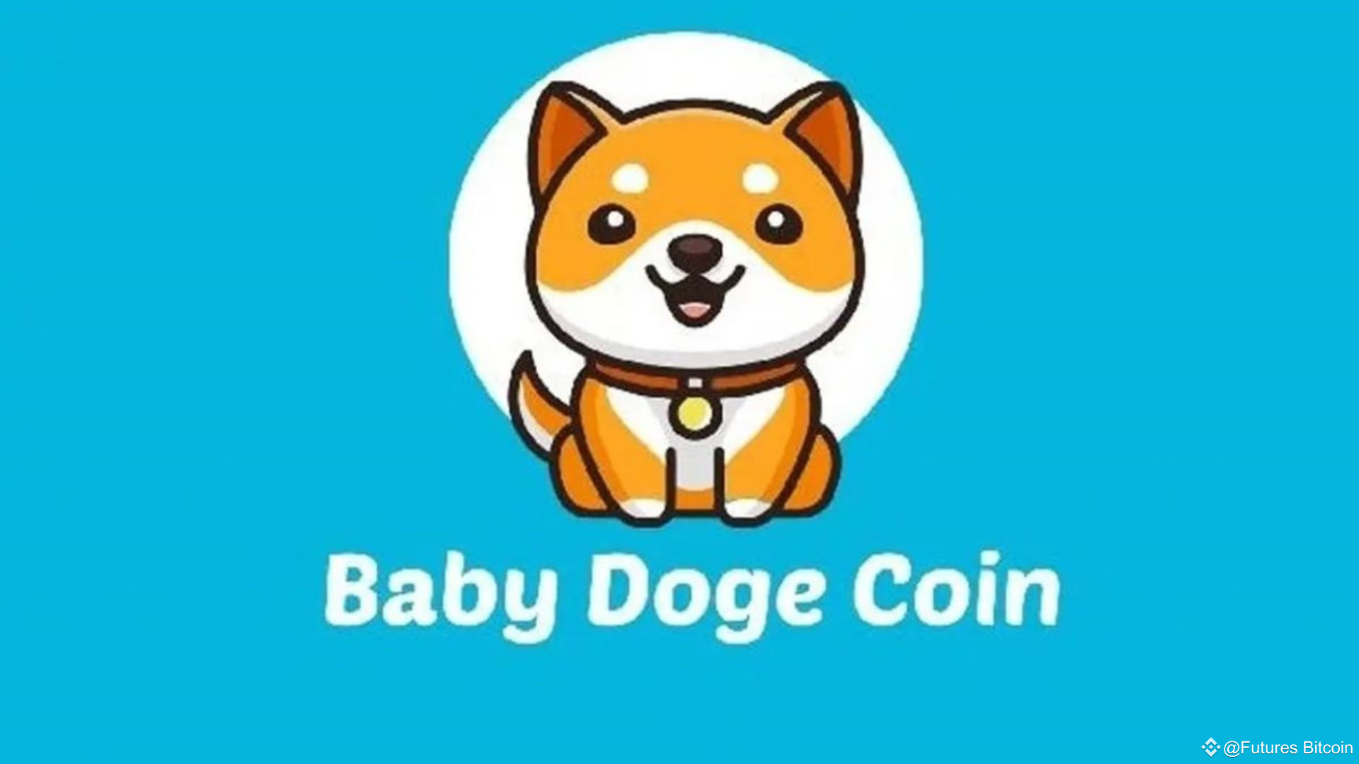 What is Baby Doge Coin? Information about 1MBABYDOGE Token that you need to  know | GH22 on Binance Square
