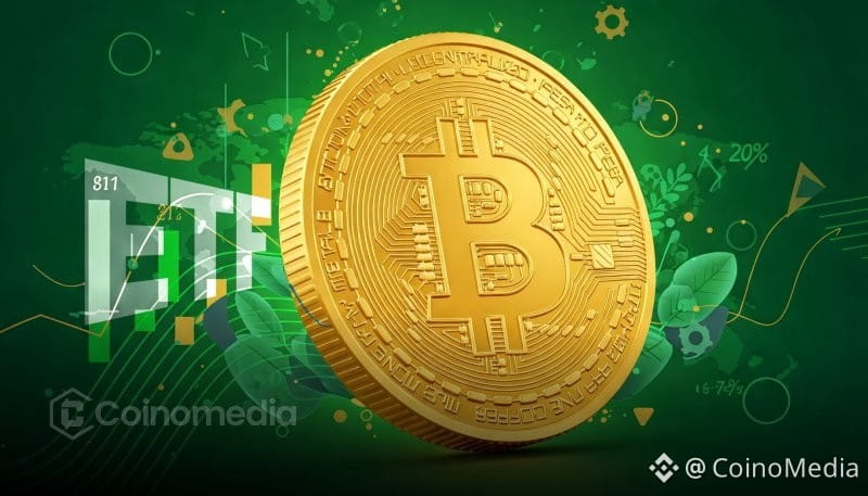 Crypto Funds Face Pressure as Bitcoin ETF Outflows Rise