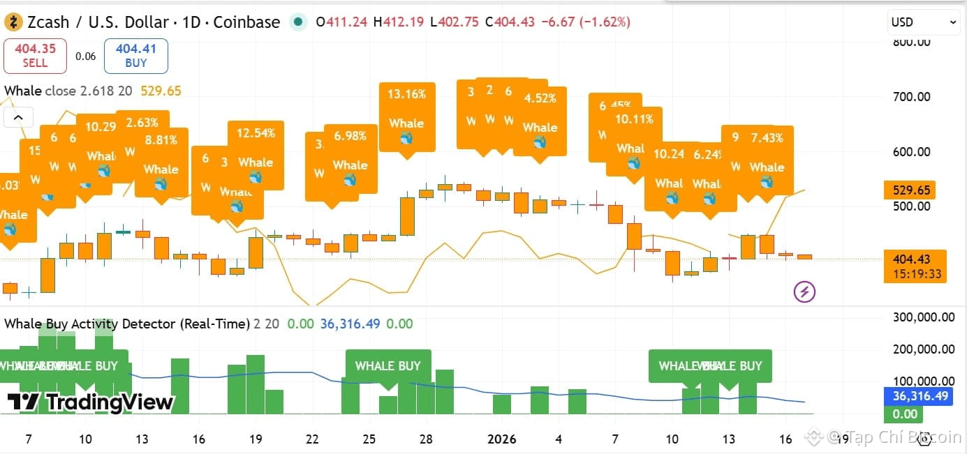 Liệu Zcash đã sẵn sàng vượt qua mốc 439 USD sau khi cá voi tích lũy 31 triệu USD?