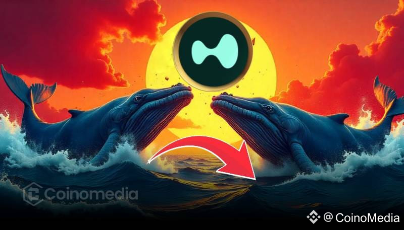 Whale Goes 5x Long on $20M HYPE Bet