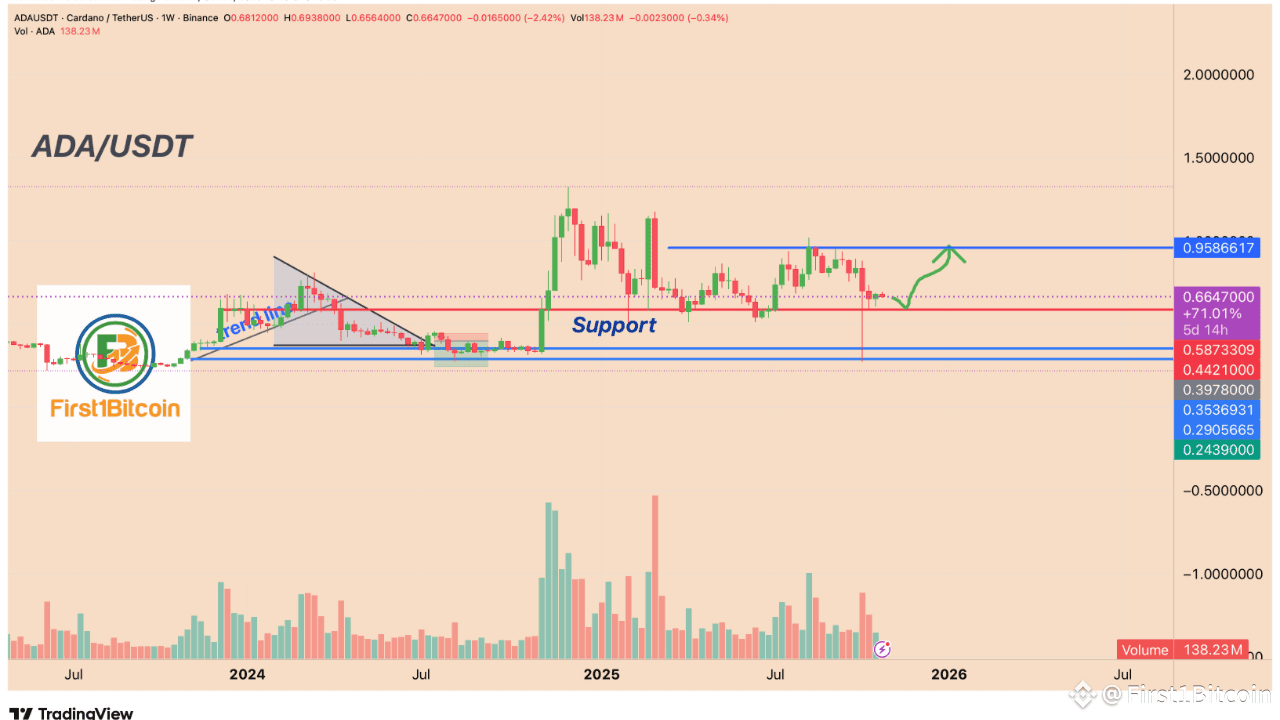 Latest #cardano News, Opinions and Feed Today | Binance Square