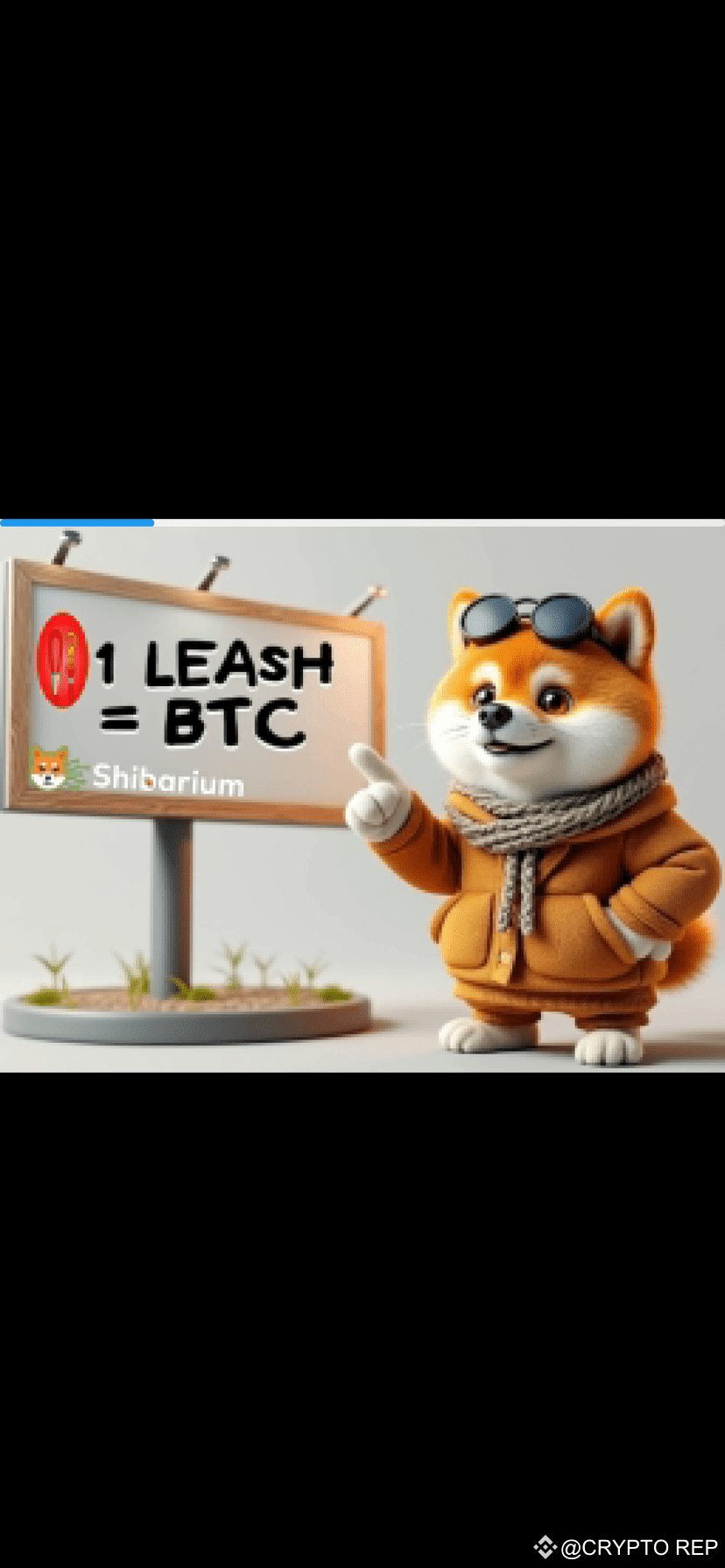 Latest #leash News, Opinions and Feed Today | Binance Square