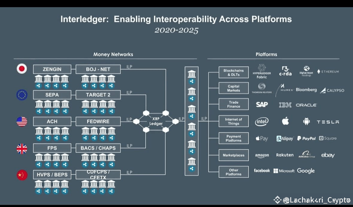 Digital Ascension Group MD Reveals Why He is Investing in XRP Only |  Lachakari_Crypto on Binance Square