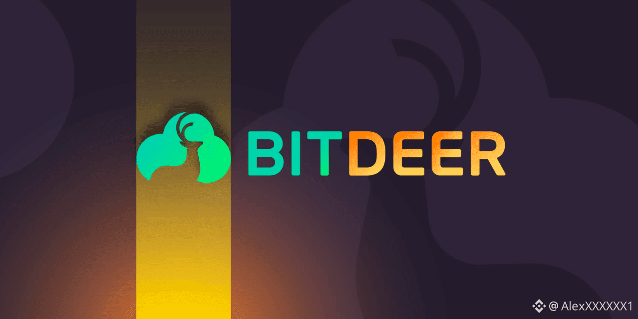 Bitdeer singapore review (91) 사진