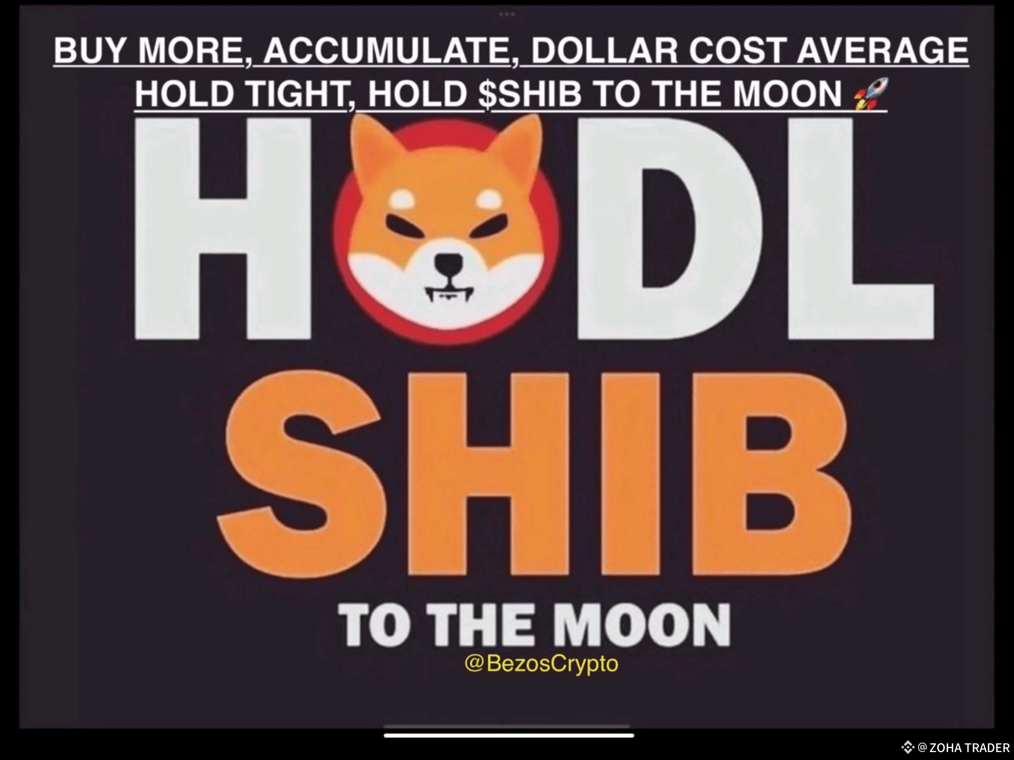 Latest #shibainuetf News, Opinions and Feed Today | Binance Square