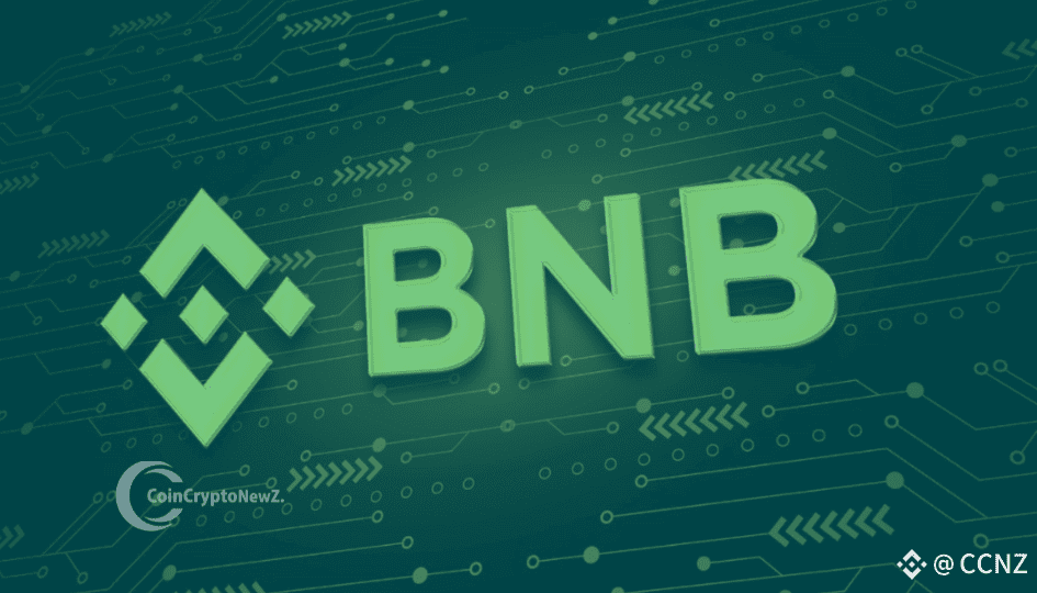 BNB Outperforms Major Altcoins with Remarkable Resilience