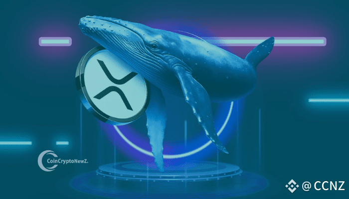XRP Faces Distribution Pressure as Whale Flows Turn Negative