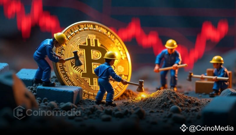 Bitcoin Miners Hold Steady Amid Market Fluctuations