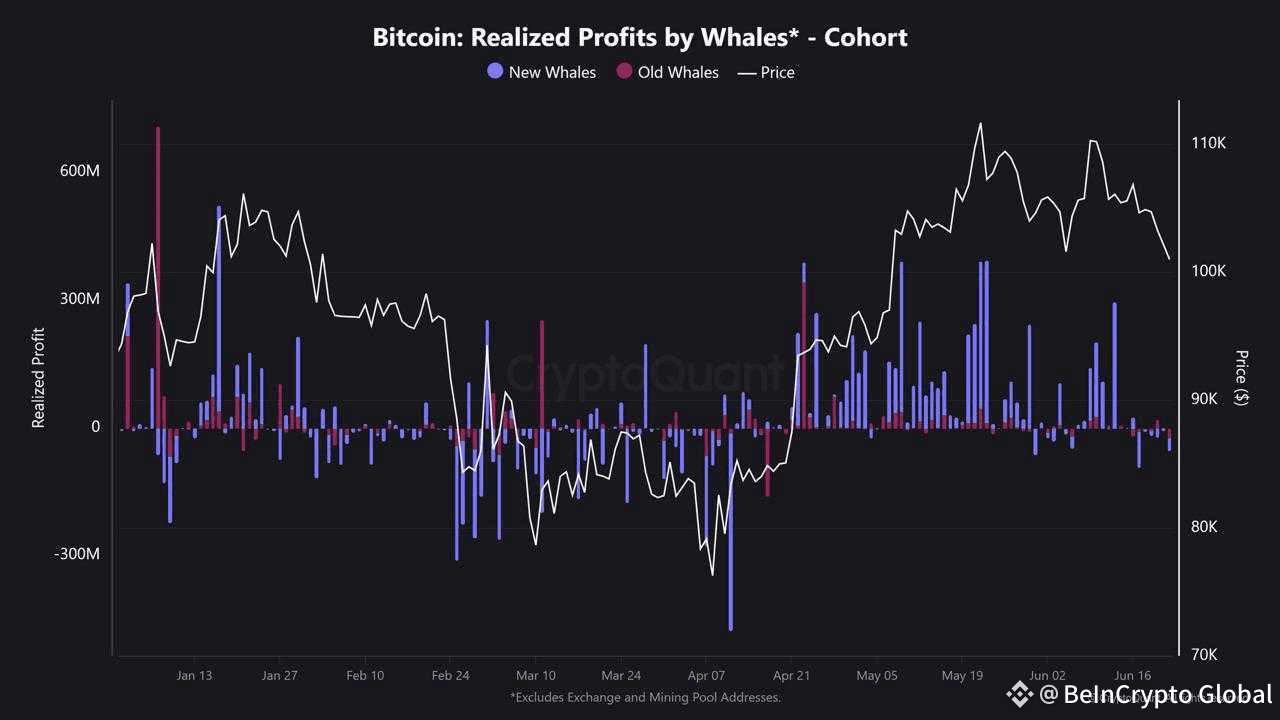 bitcoin whale profit