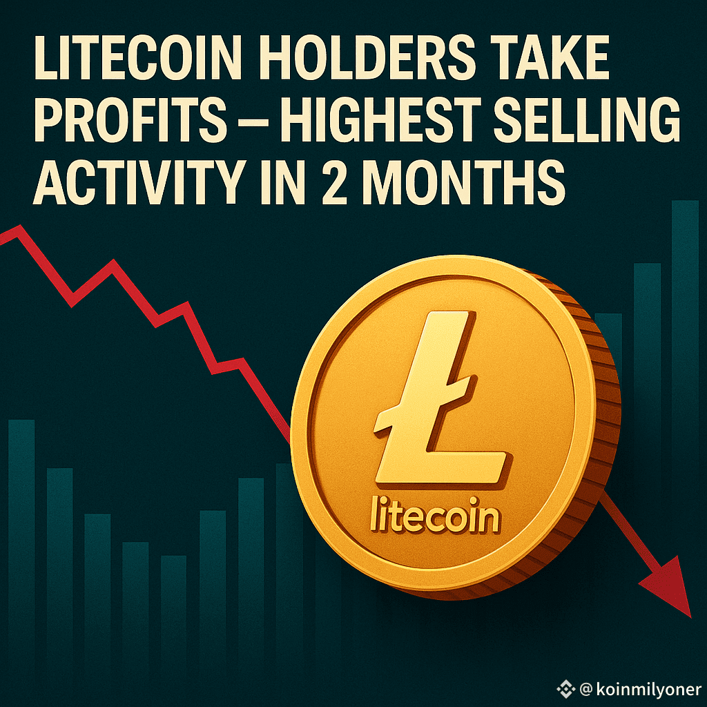 💸 Litecoin Holders Take Profits — Highest Selling Activity | koinmilyoner  on Binance Square