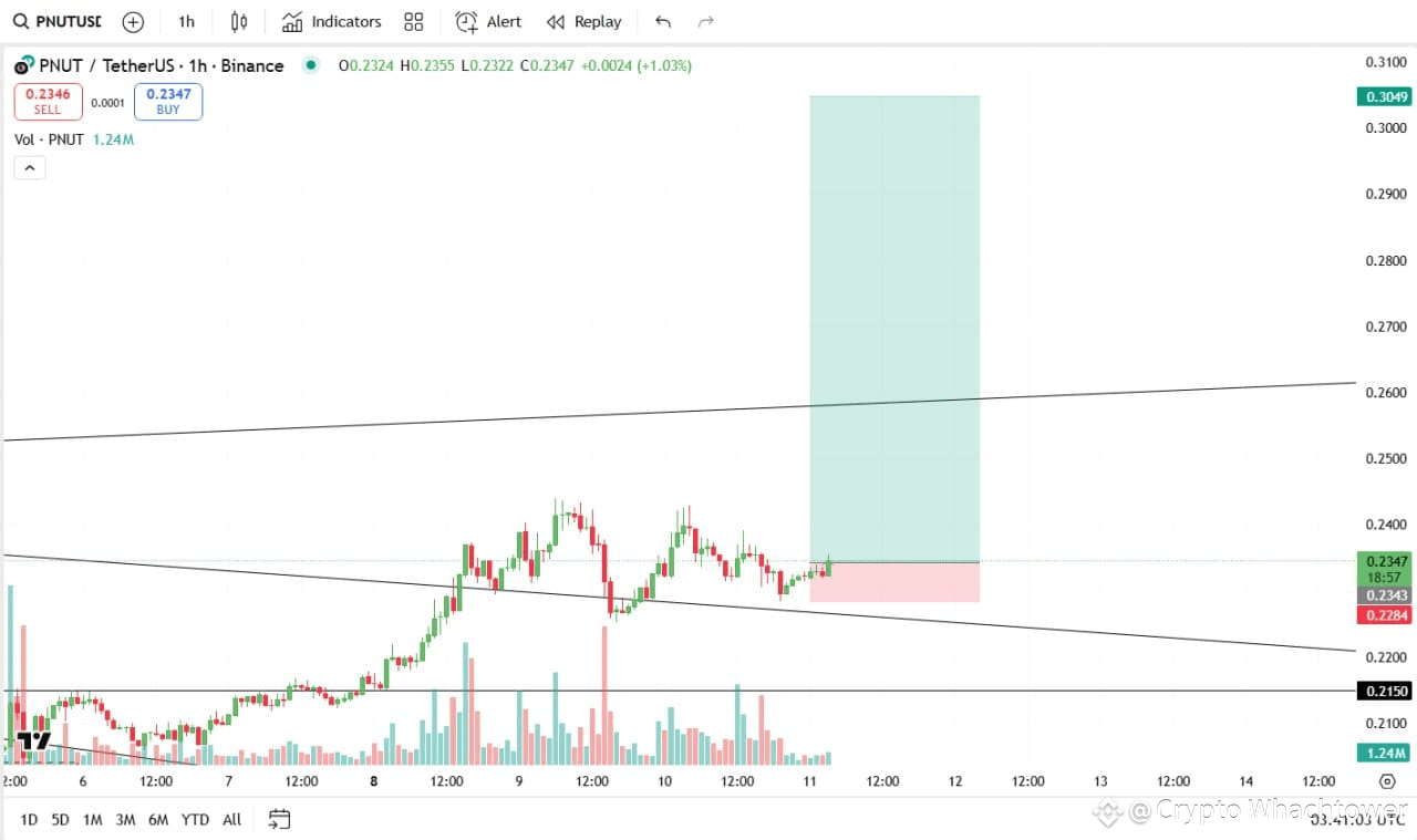 Pi Coin Price Prediction After Open Mainnet Launch (2025-2030) | Crypto  Whachtower on Binance Square