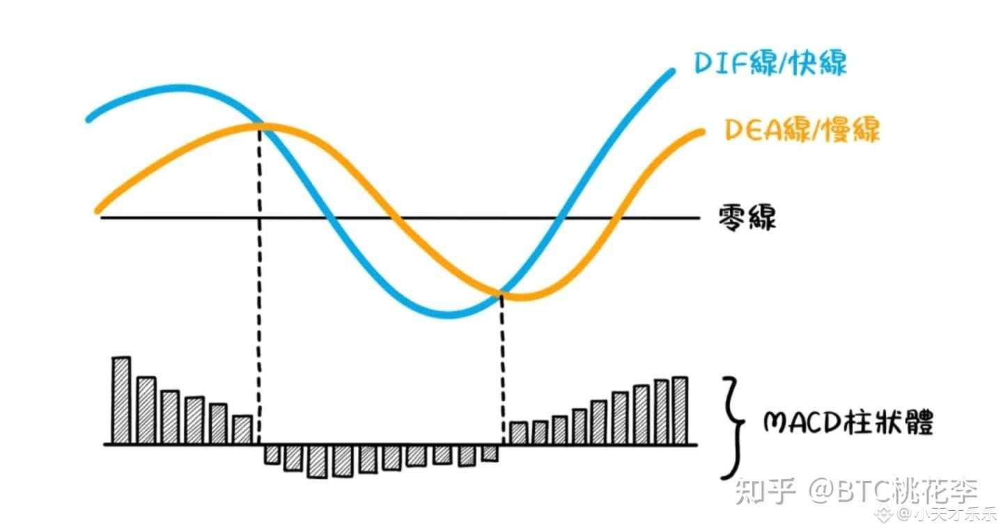 有一个最笨的炒币方法，几乎100%盈利。我就是用这个方法赚了4000多w！ | 小天才乐乐发布于币安广场