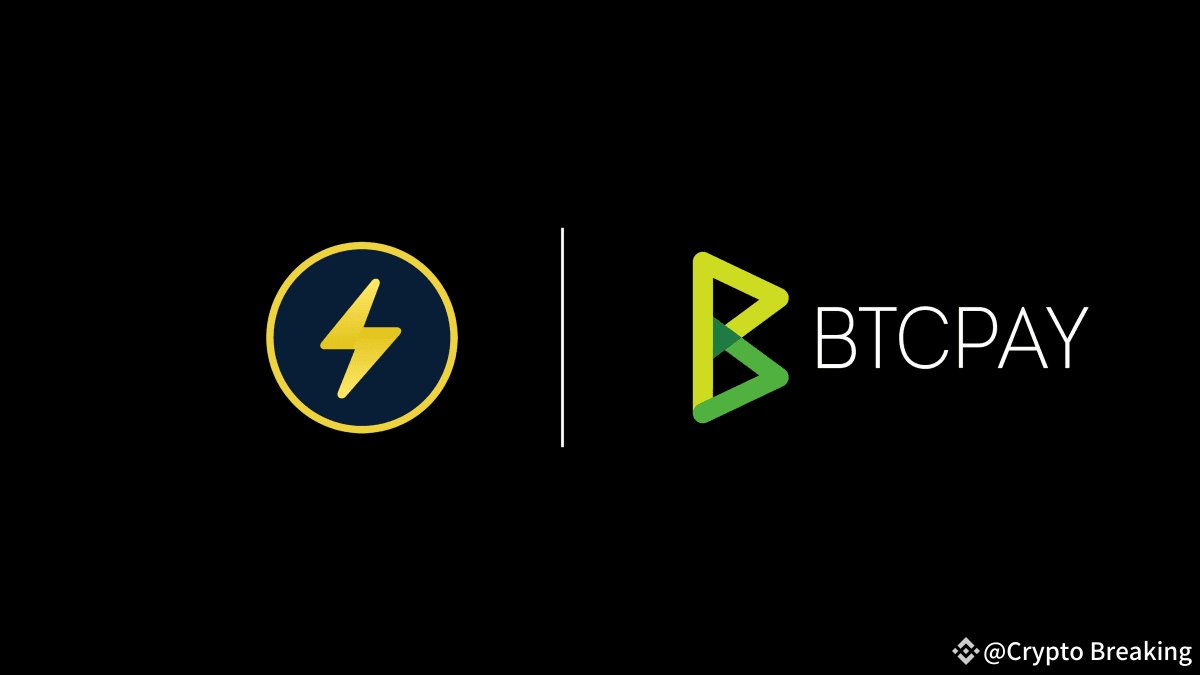 Bitcoin Swap Service Boltz Launches BTCPay Server Plugin For Lightning  Payments | Crypto Breaking on Binance Square