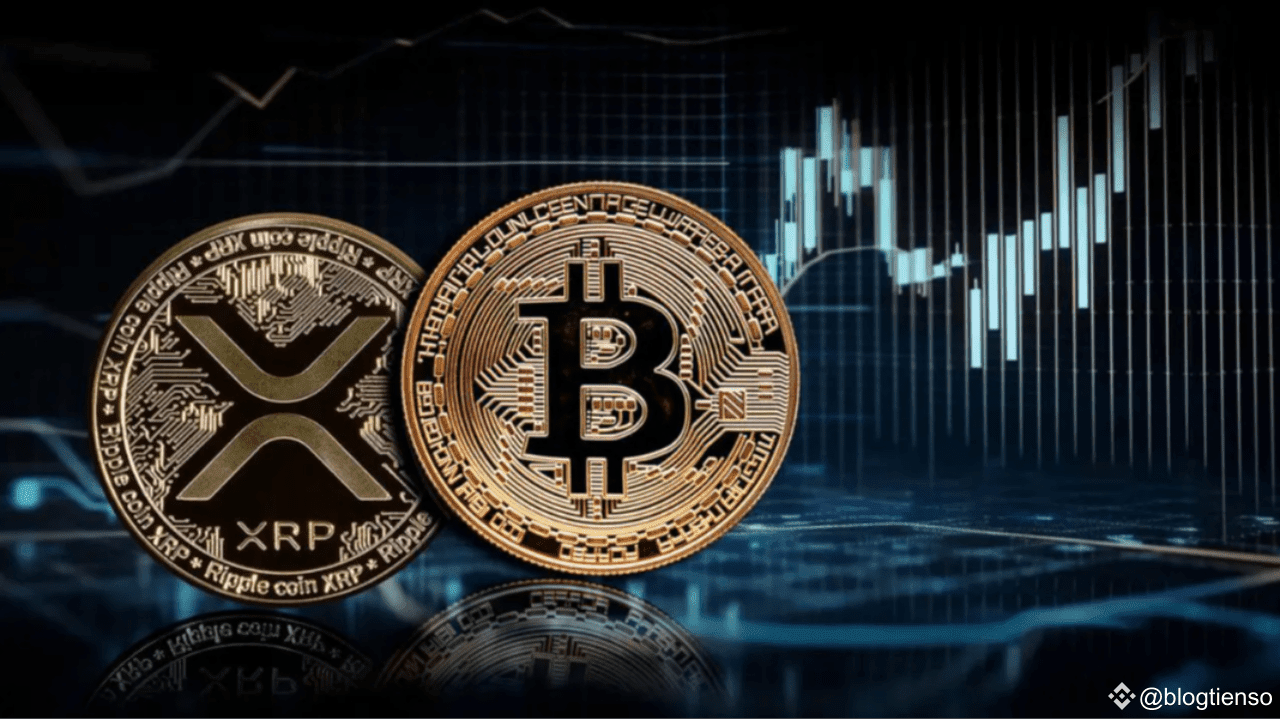 À Acheter en 2025: XRP ou BTC? | blogtienso sur Binance Square
