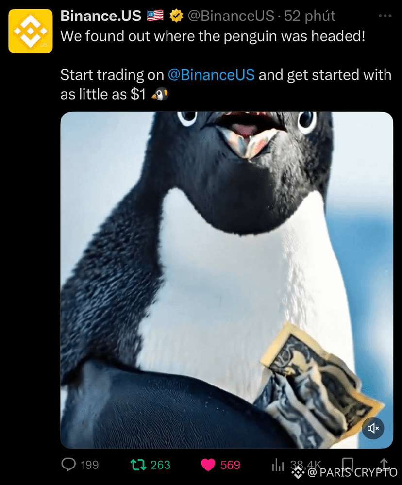 Binance US 🇺🇸 shill con hàng chim cánh cụt $PENGUIN 🐧 | PARIS CRYPTO en  Binance Square