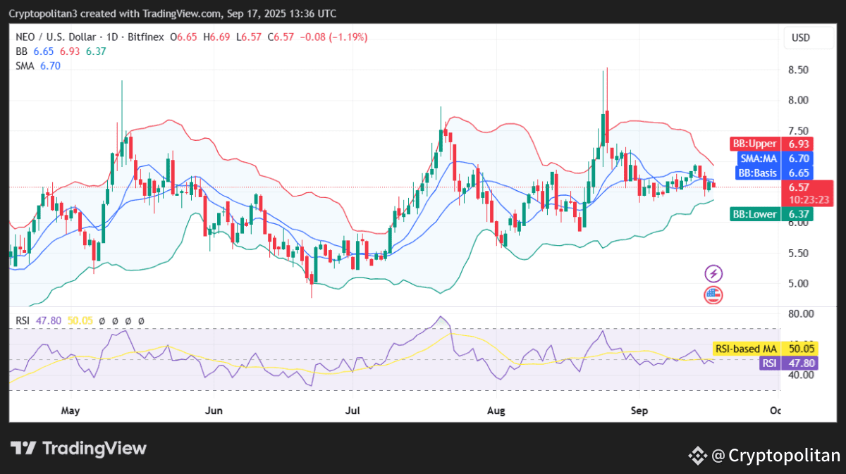 NEO price prediction 2025-2031: Is it good to invest in NEO now? |  Cryptopolitan on Binance Square