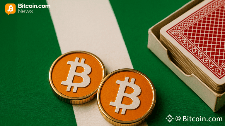Nigerian Regulator Warns Crypto and Gambling Threaten Infrastructure Investment
