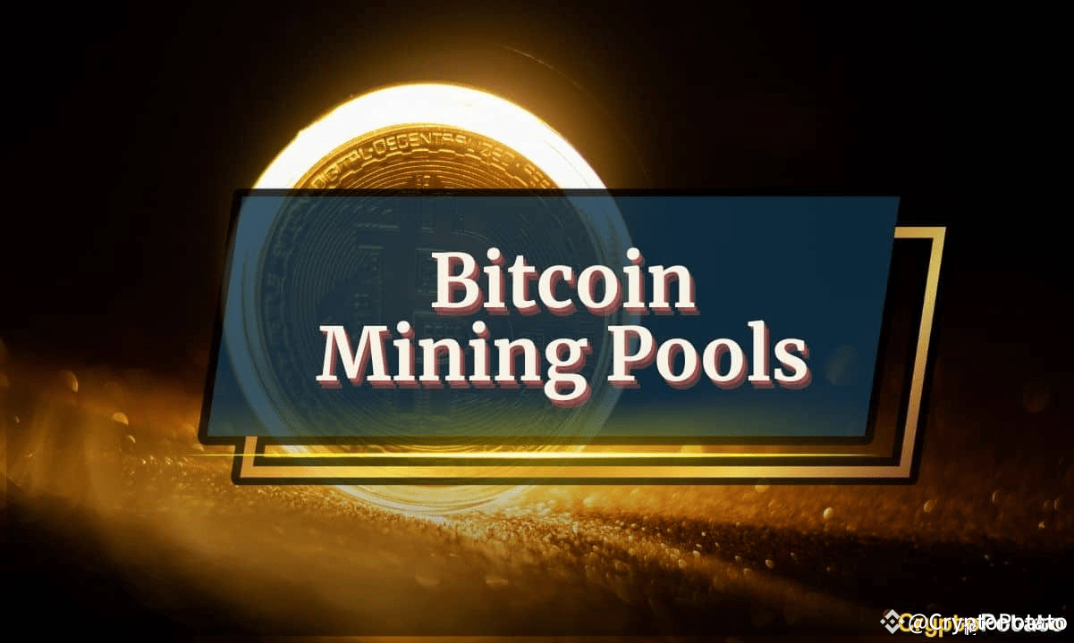 Top 5 Bitcoin Mining Pools in 2025: A Comprehensive Guide | CryptoPotato on  Binance Square
