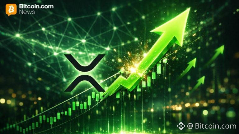 XRP Bull Case Expands as ETFs, Treasury Adoption, and On-Chain Utility Align