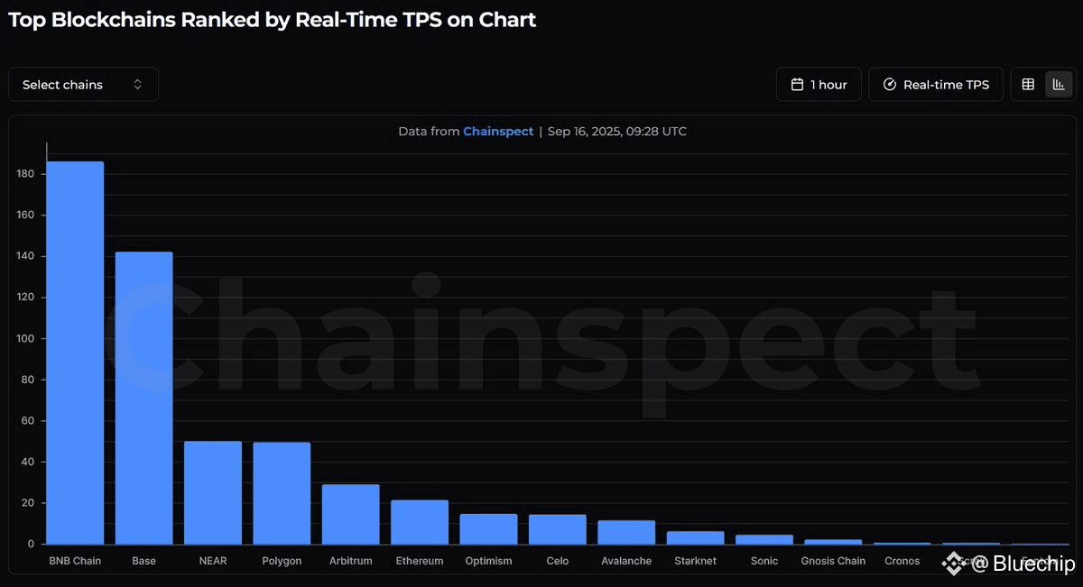 BNBChain leads all EVM chains with the highest TPS! Scalabi | Bluechip ...