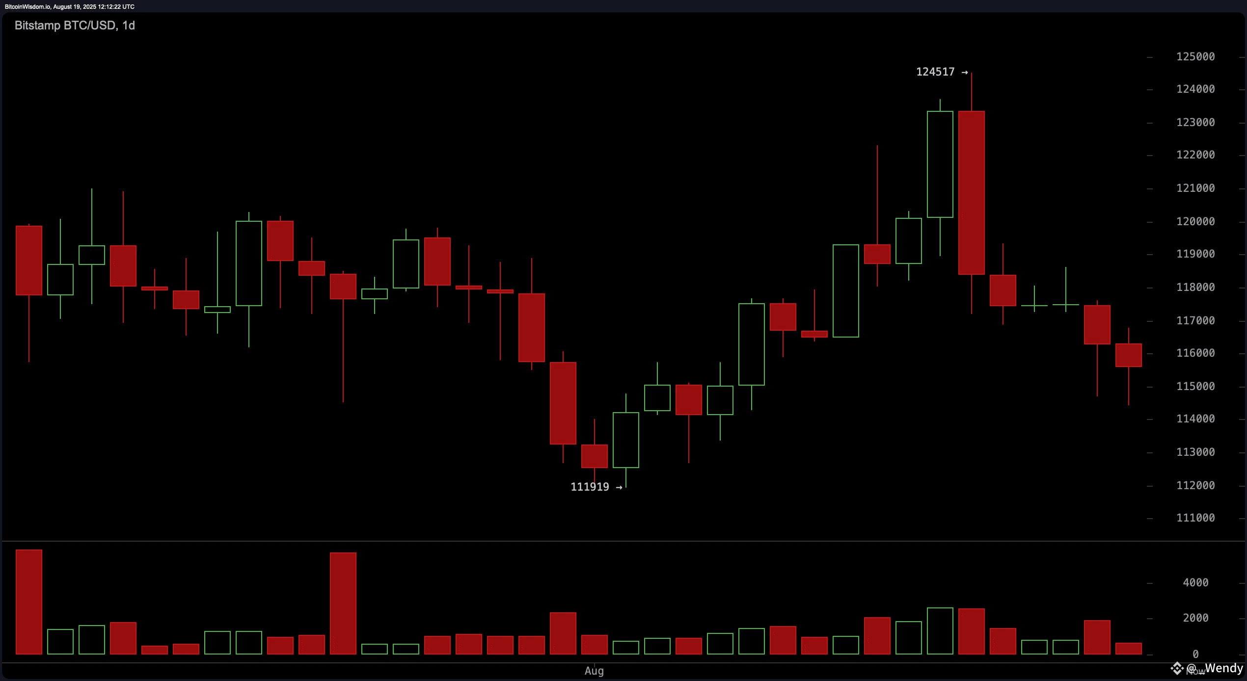 Bitcoin Price Watch: Bearish Engulfing Pattern Caps $124K Rally