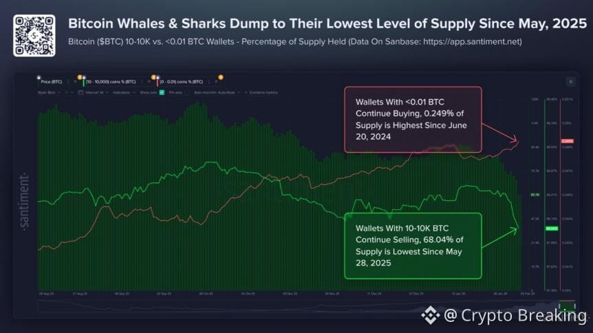 What’s Been Behind The Bitcoin Crash As Btc Falls To $60k