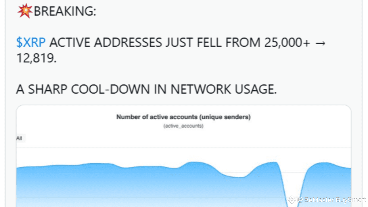 XRP Active Address Just Fell From 25,000+ to 12,819. But There is a Good  News | BeMaster BuySmart on Binance Square