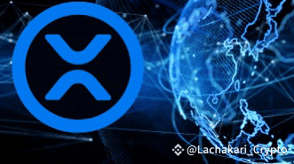 Only 1 in 5,000 People Globally Hold XRP: Expert Insists You Are Still