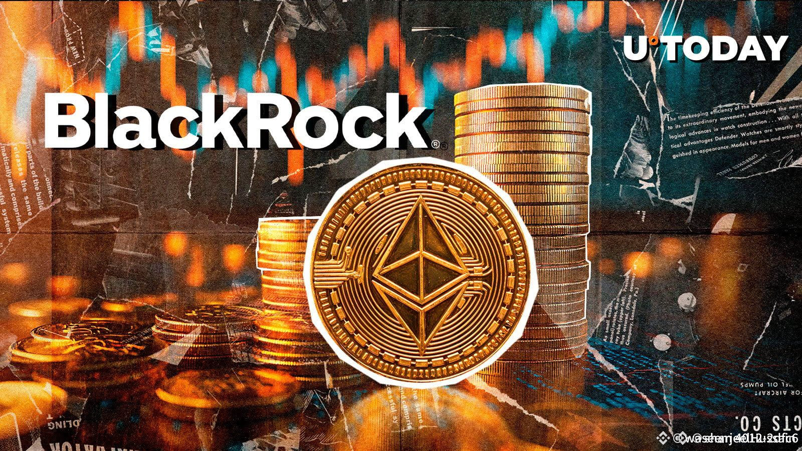 Latest #blackrock's News, Opinions and Feed Today | Binance Square