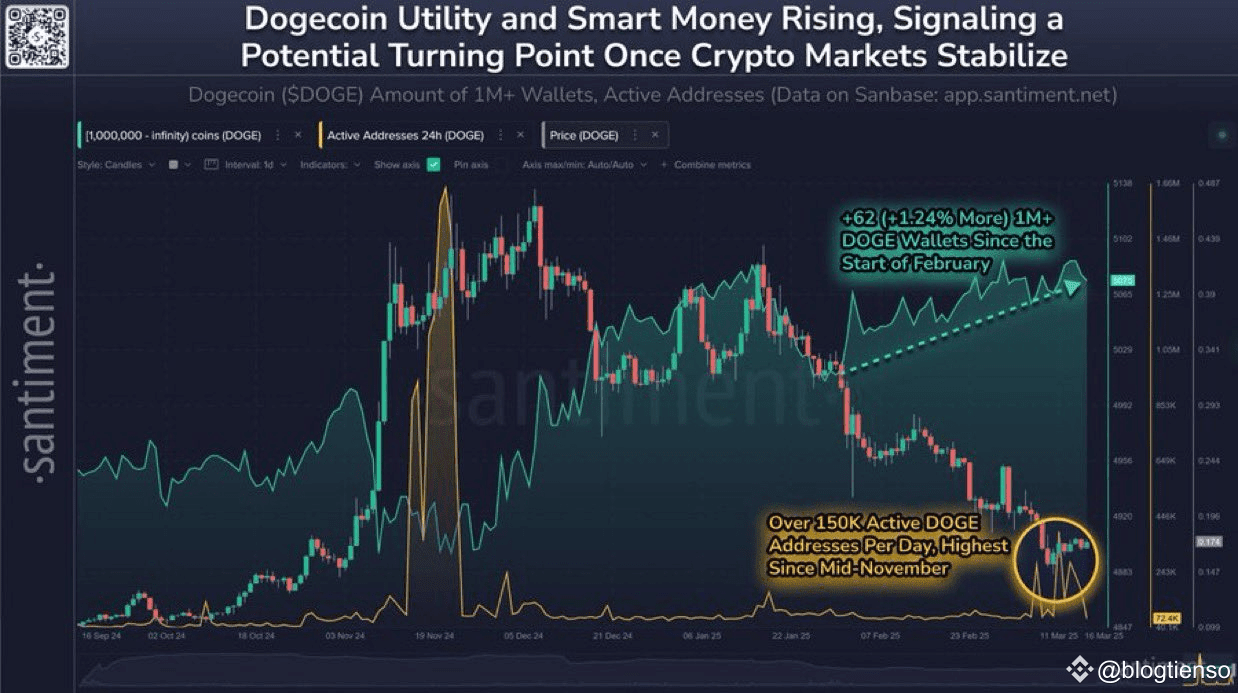 Dogecoin Price Prediction: Analyst Says $DOGE Could Reach $2 by 2025 |  blogtienso on Binance Square