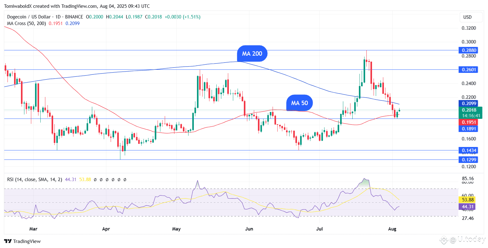 TradingView
