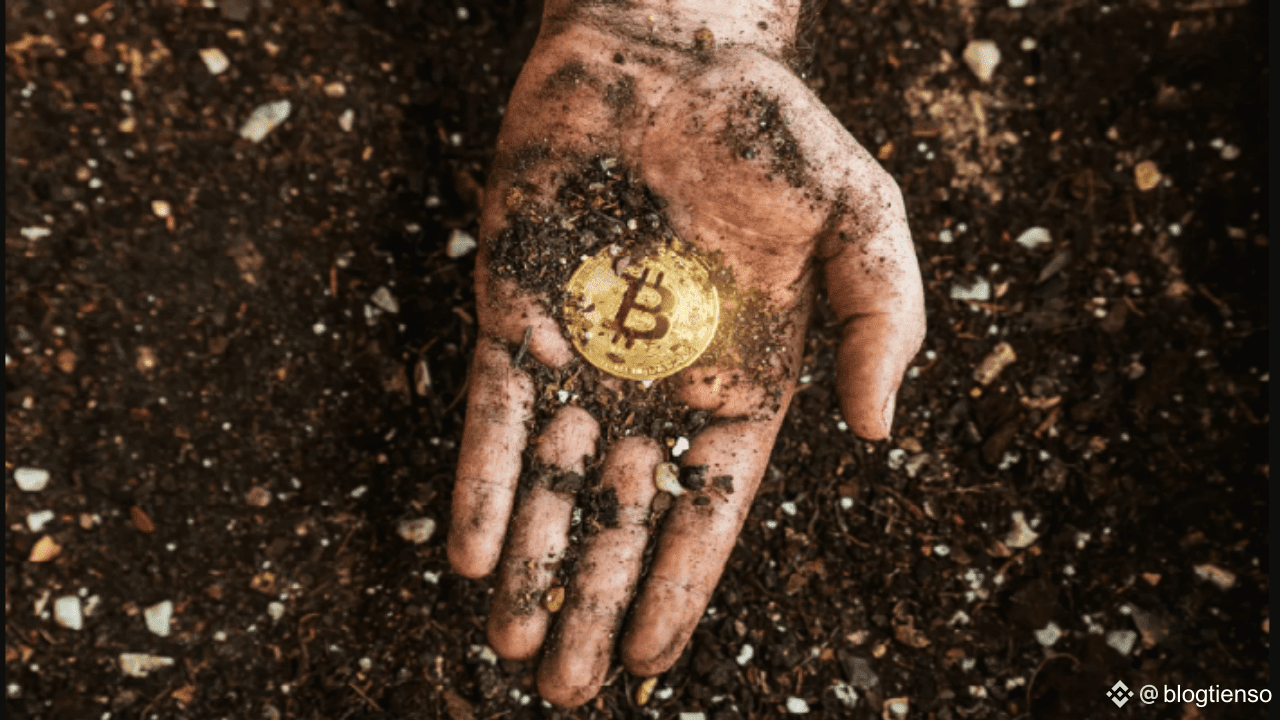 Owning 1 Bitcoin: Fewer People Than Millionaires, Opportunity or Risk? |  blogtienso on Binance Square