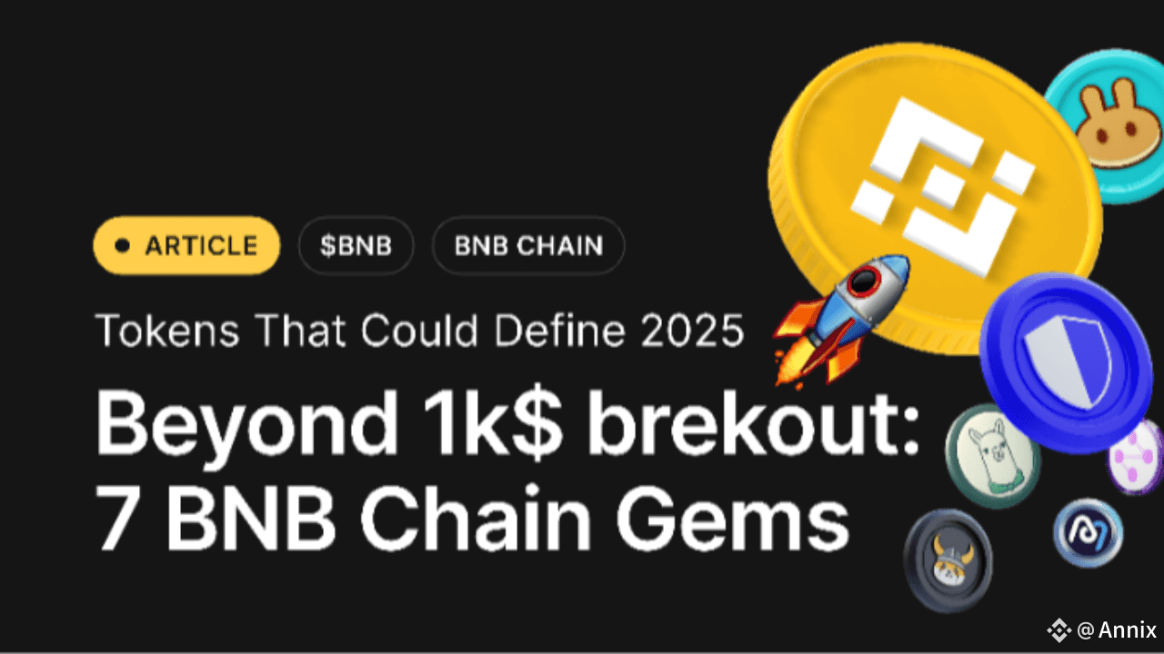 Why You Must Hodl BNB in Your Binance | Annix on Binance Square