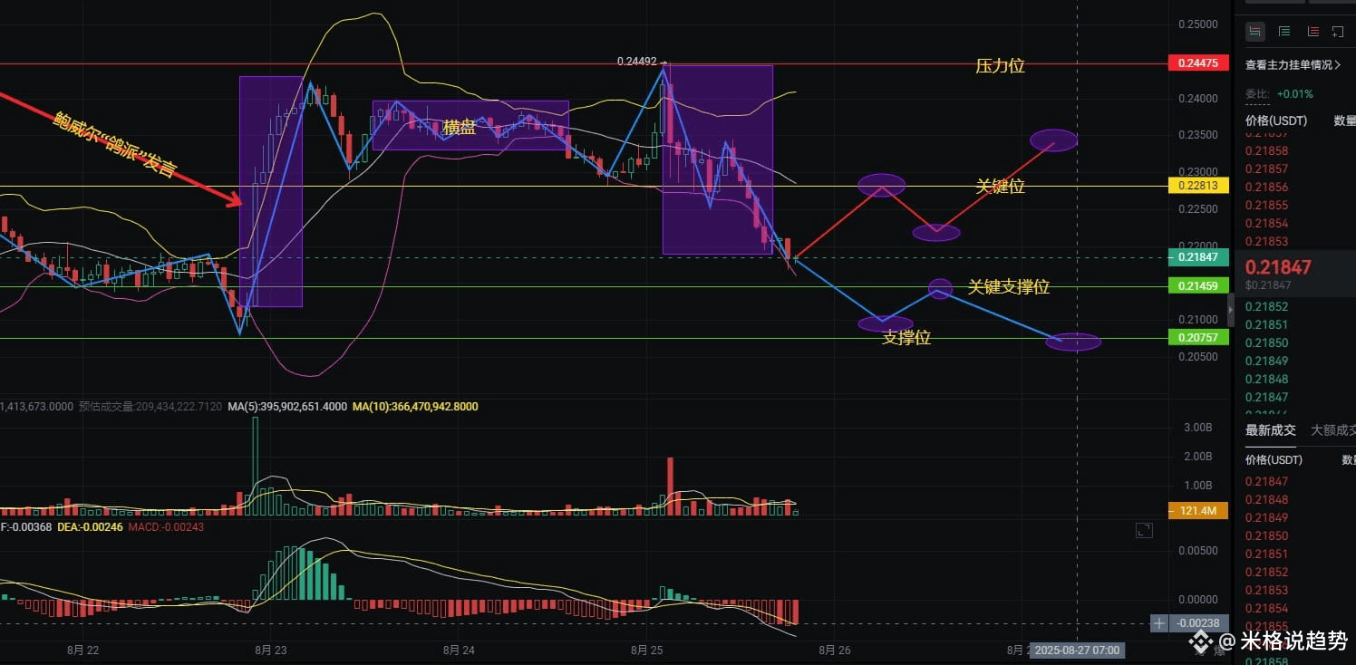 惊天逆转还是死猫反弹？DOGE关键位0.228决战夜，百亿清算压境下马斯克概念币能否绝地反击？ | 分析师米格på Binance Square
