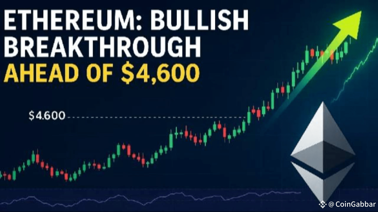 Latest #bullzilla News, Opinions and Feed Today | Binance Square