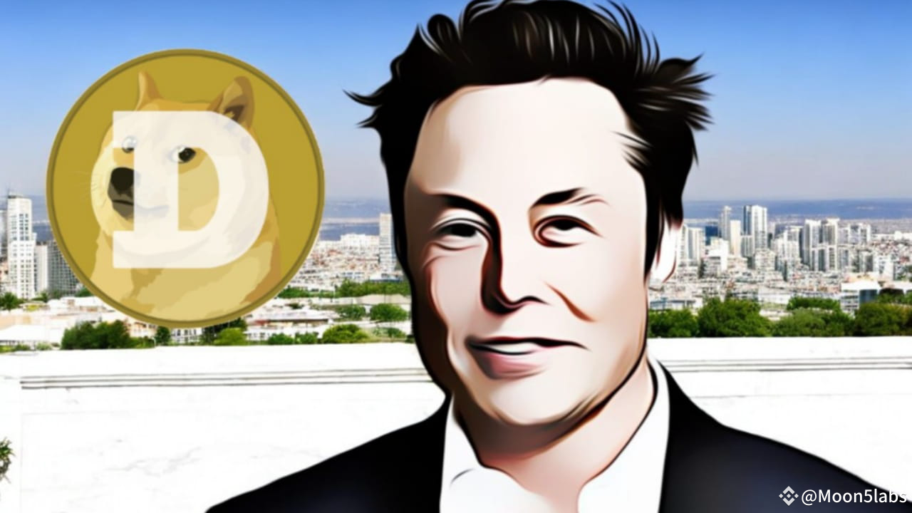 Elon Musk and Dogecoin Co-Founder Agree on This Key Point: Details |  Moon5labs on Binance Square