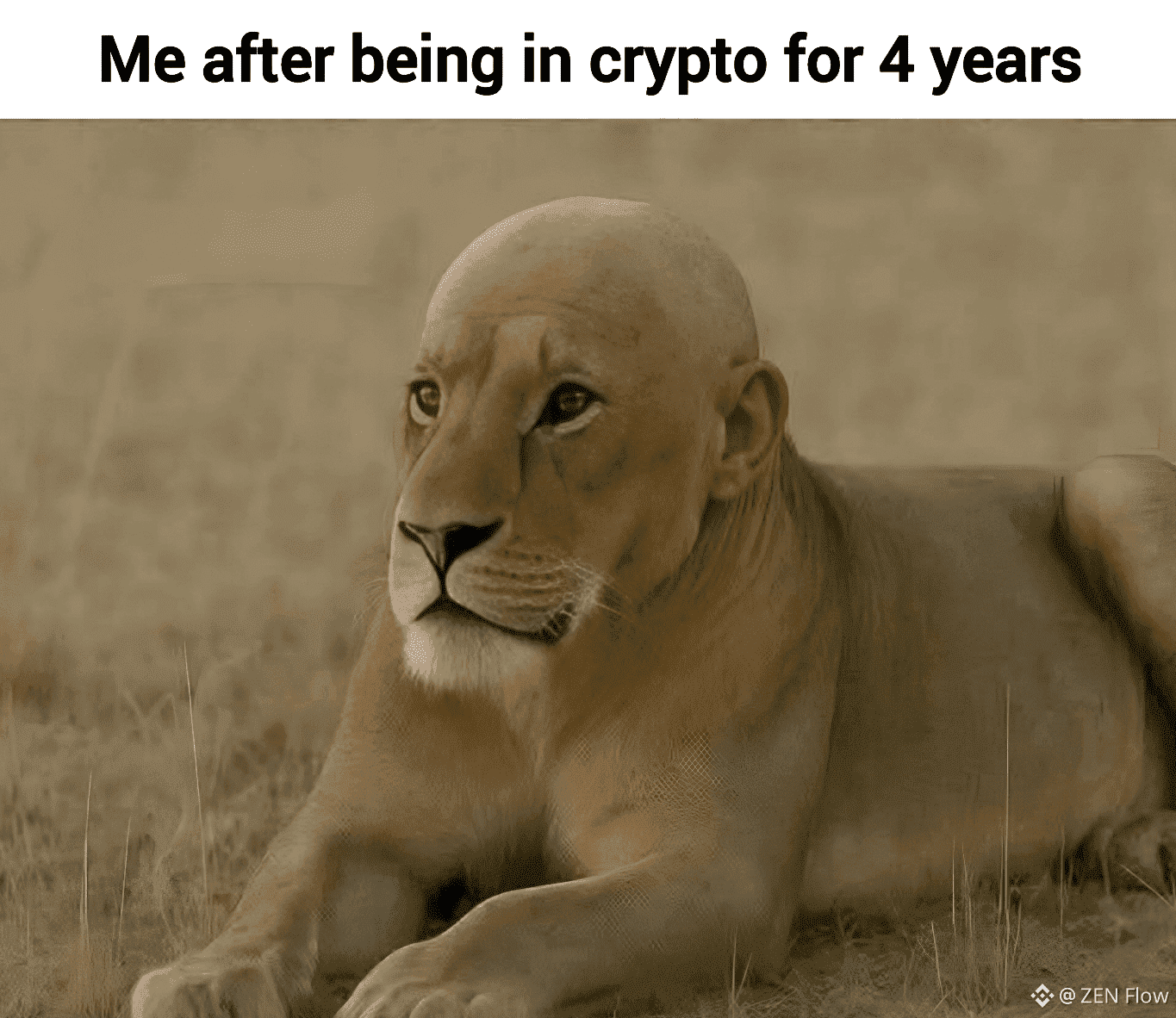 Latest #ogcoin News, Opinions and Feed Today | Binance Square