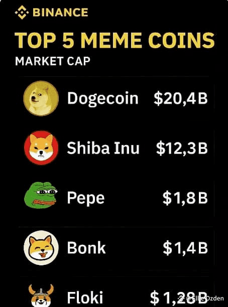 💥 Top 5 Meme Coins to Watch in 2025 💥 🚀 Buy Today, Milli | Ellie Ozden ...